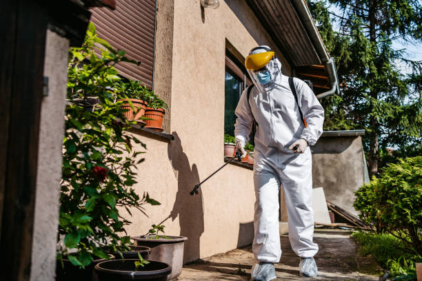 Best Flea Control Services  in Farmerville, LA