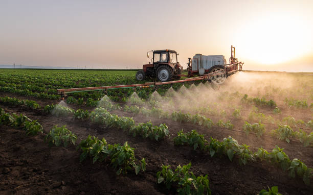 Best Commercial Pest Control Services  in Farmerville, LA
