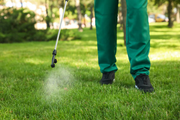 Best Affordable Pest Control Services  in Farmerville, LA