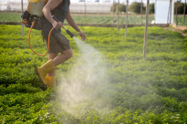 Best Best Pest Control Companies  in Farmerville, LA
