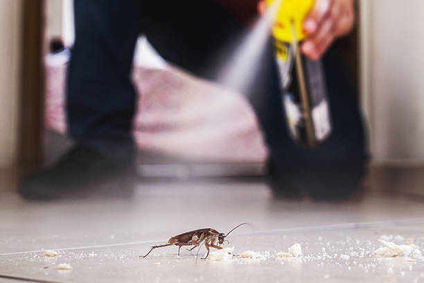 Best Commercial Pest Control Services  in Farmerville, LA