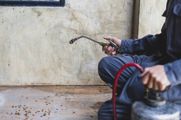 Best Wasp Removal Services  in Farmerville, LA
